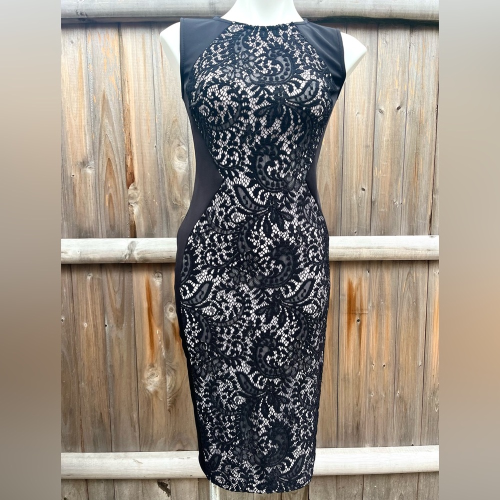 FINAL PRICE: Ever Pretty Bodycon Black Lace Dress